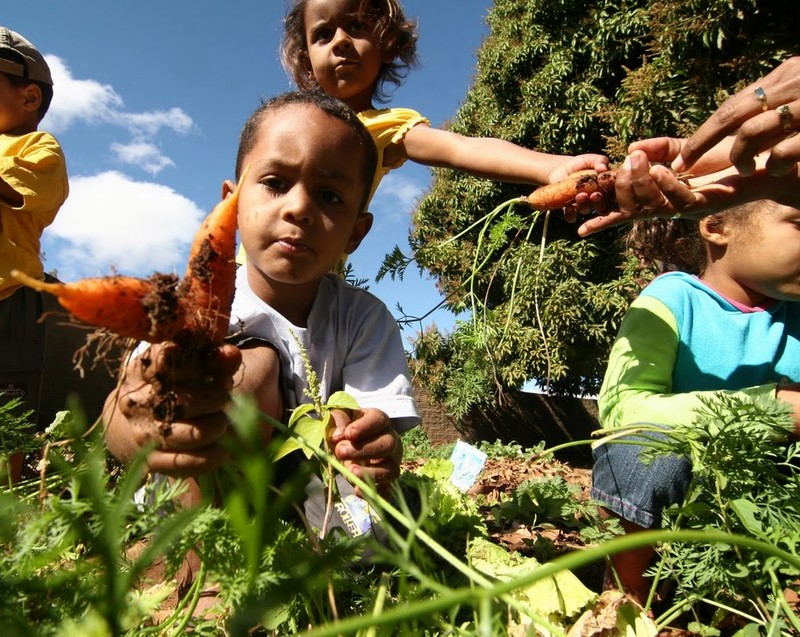 Projeto_Arassussa_FOTO_Danilo_Verpa_Folha_Imagem (1).jpg